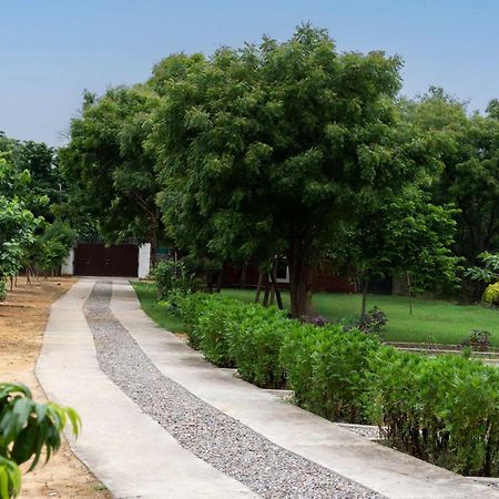 Stayvista At Idyllic Farmhouse - A Glasshouse With Outdoor Pool Ґурґаон Екстер'єр фото