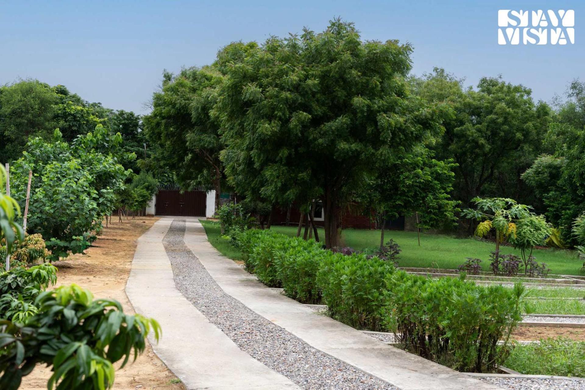 Stayvista At Idyllic Farmhouse - A Glasshouse With Outdoor Pool Ґурґаон Екстер'єр фото
